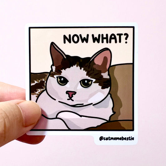 "now what?" sticker