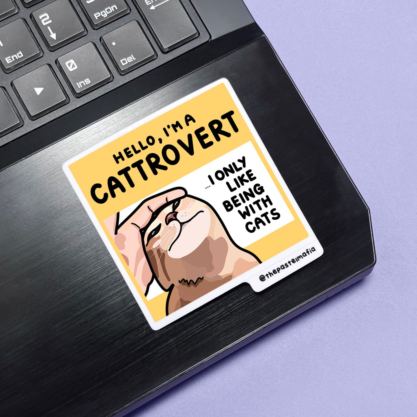 (limited) "cattrovert" sticker