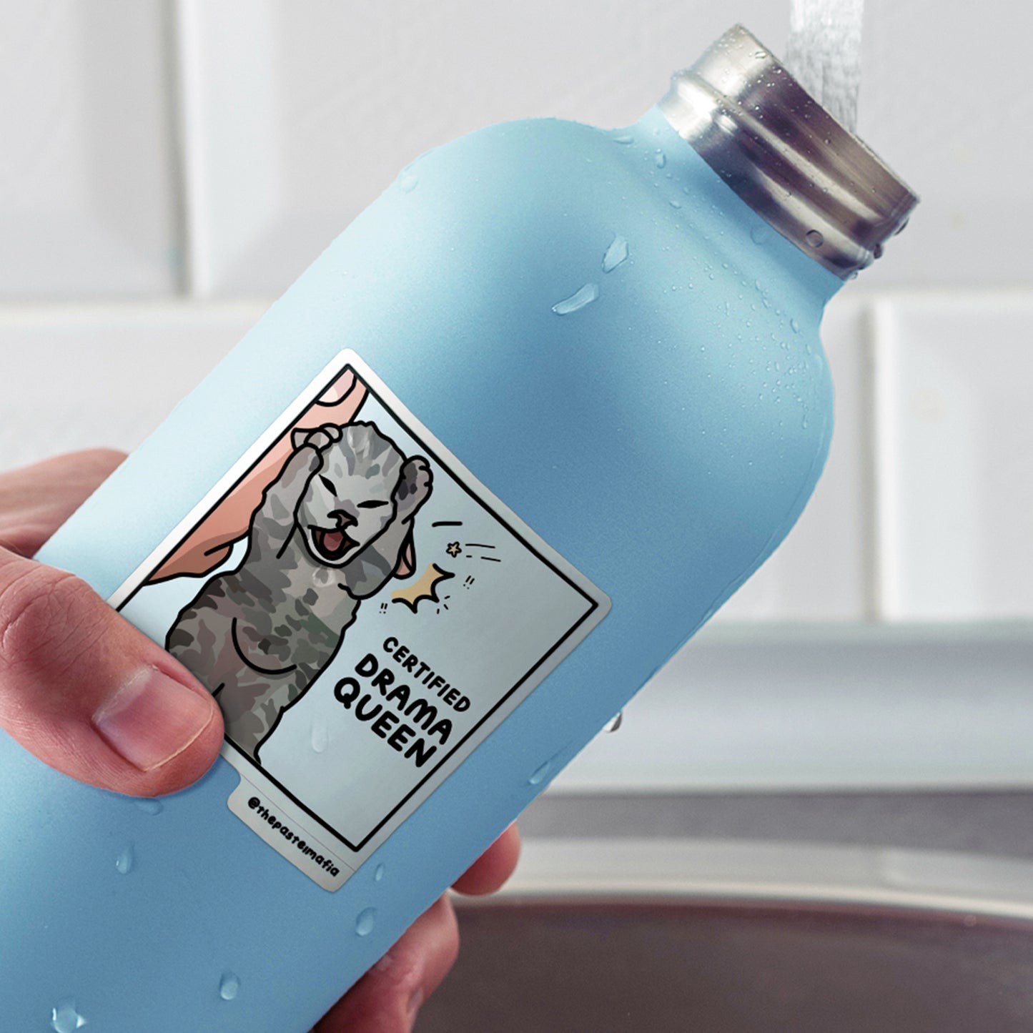 "certified drama queen" sticker