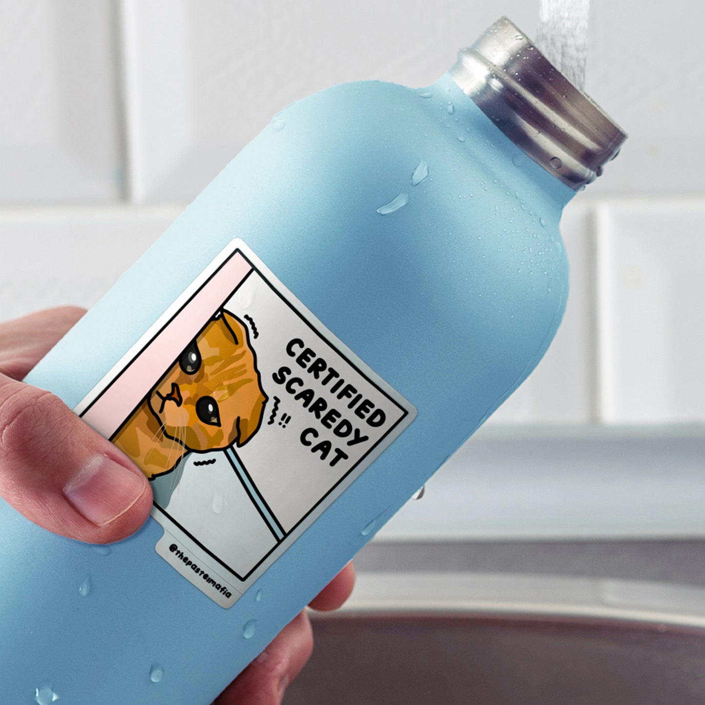 "certified scaredy cat" sticker