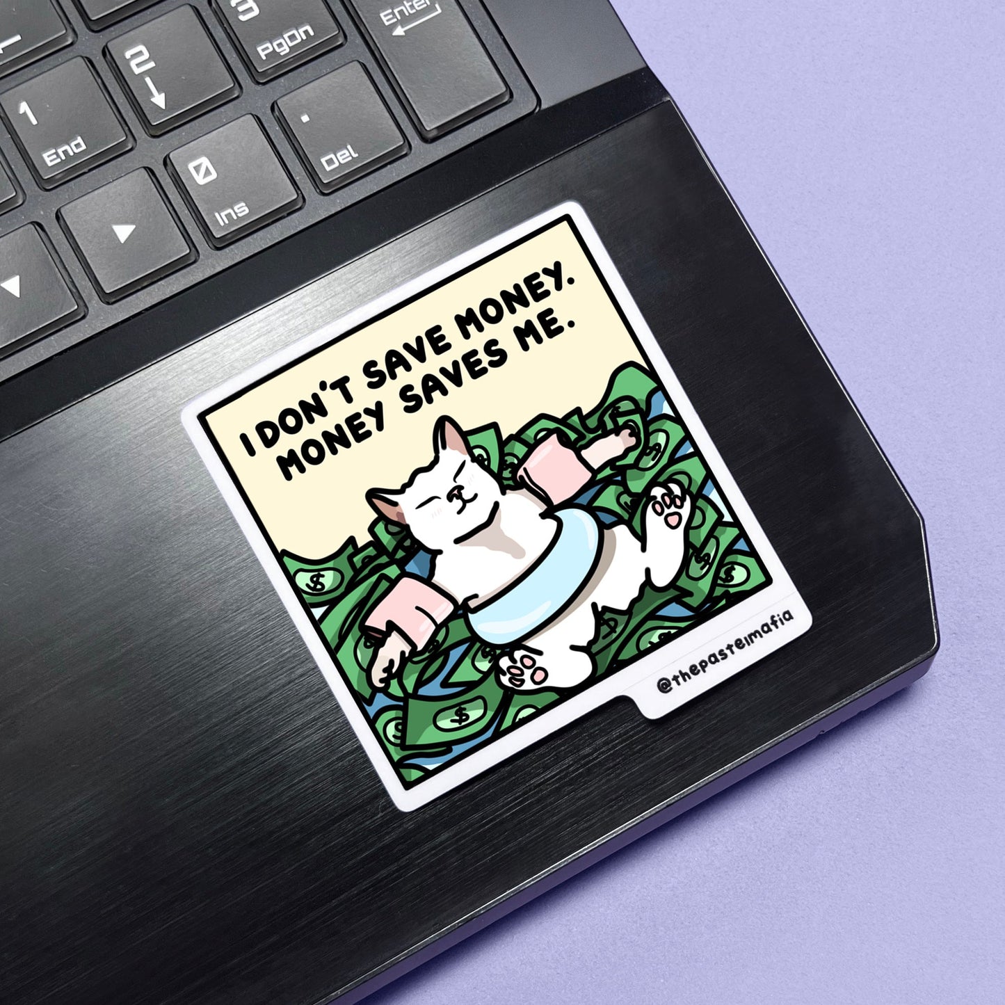 "i don't save money. money saves me." sticker