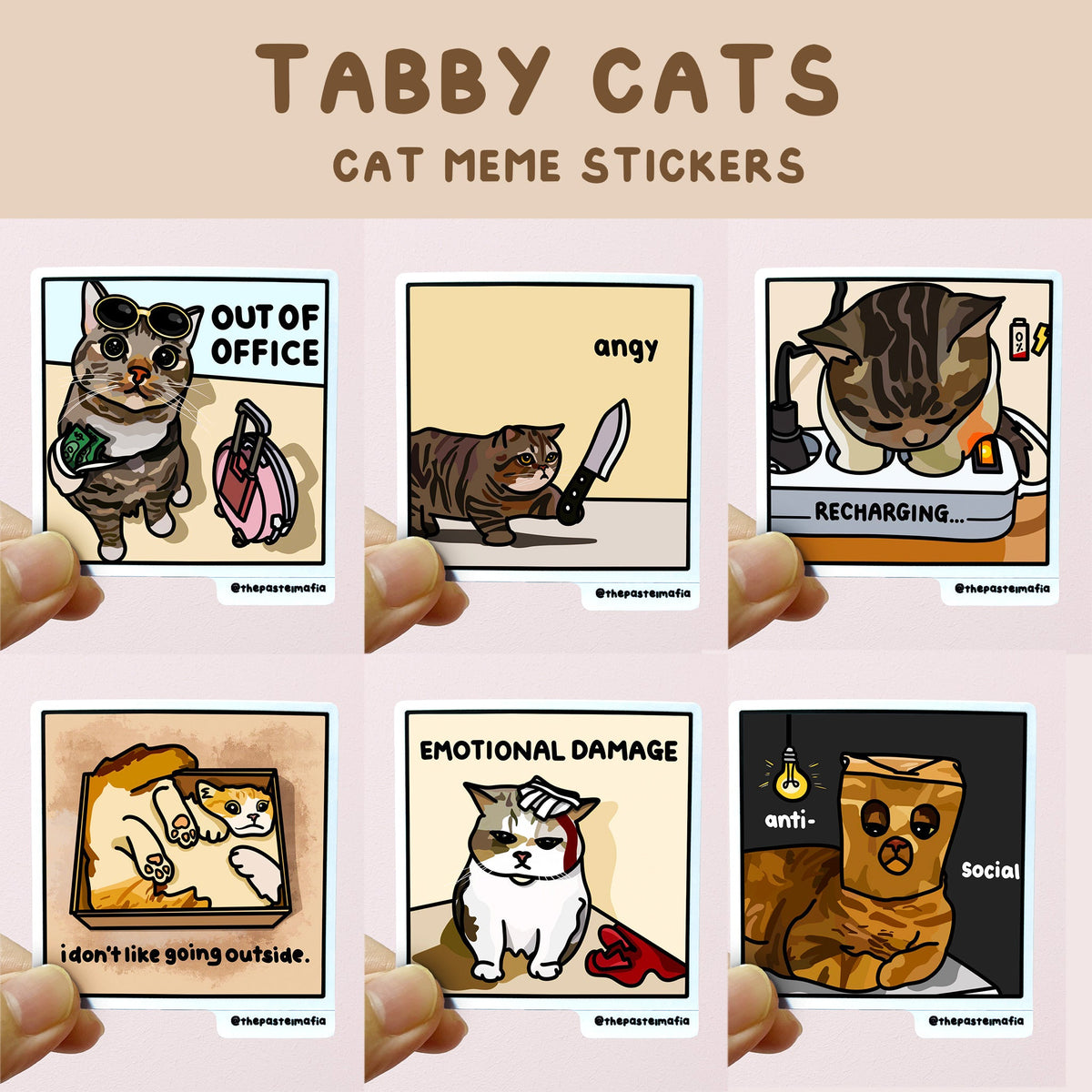 all "tabby cat" series