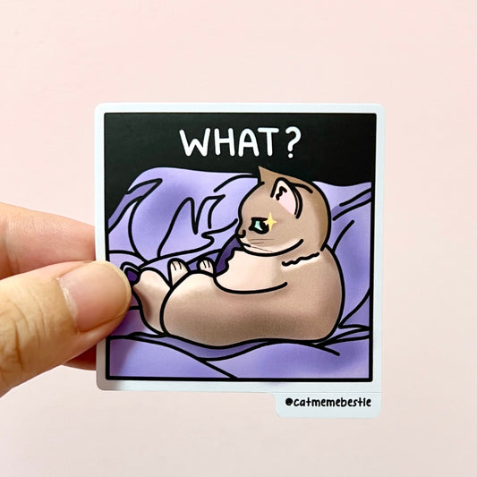 "what?" sticker