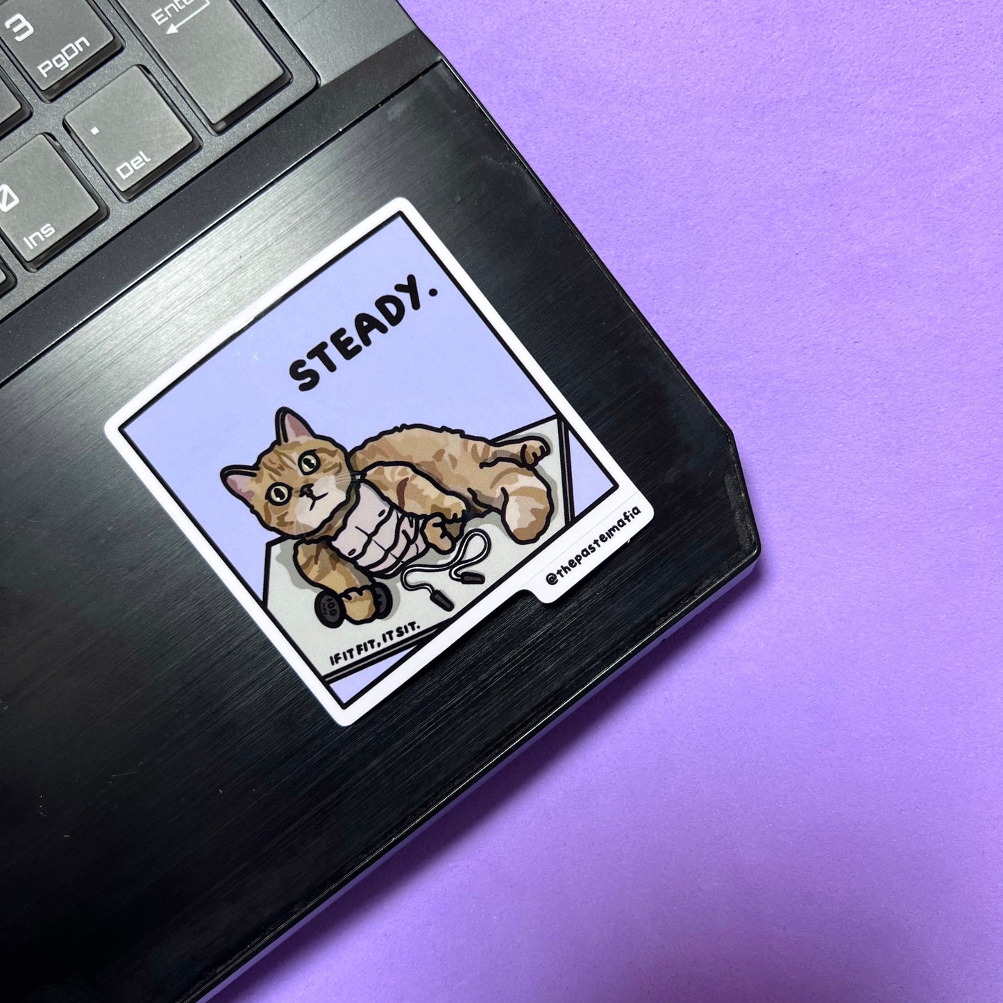 "steady" sticker