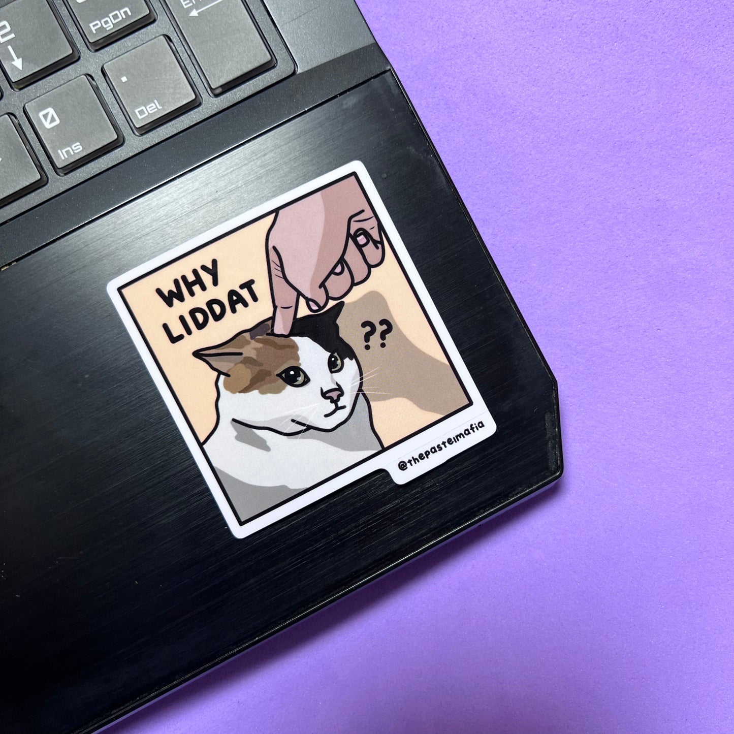 "why liddat?" sticker