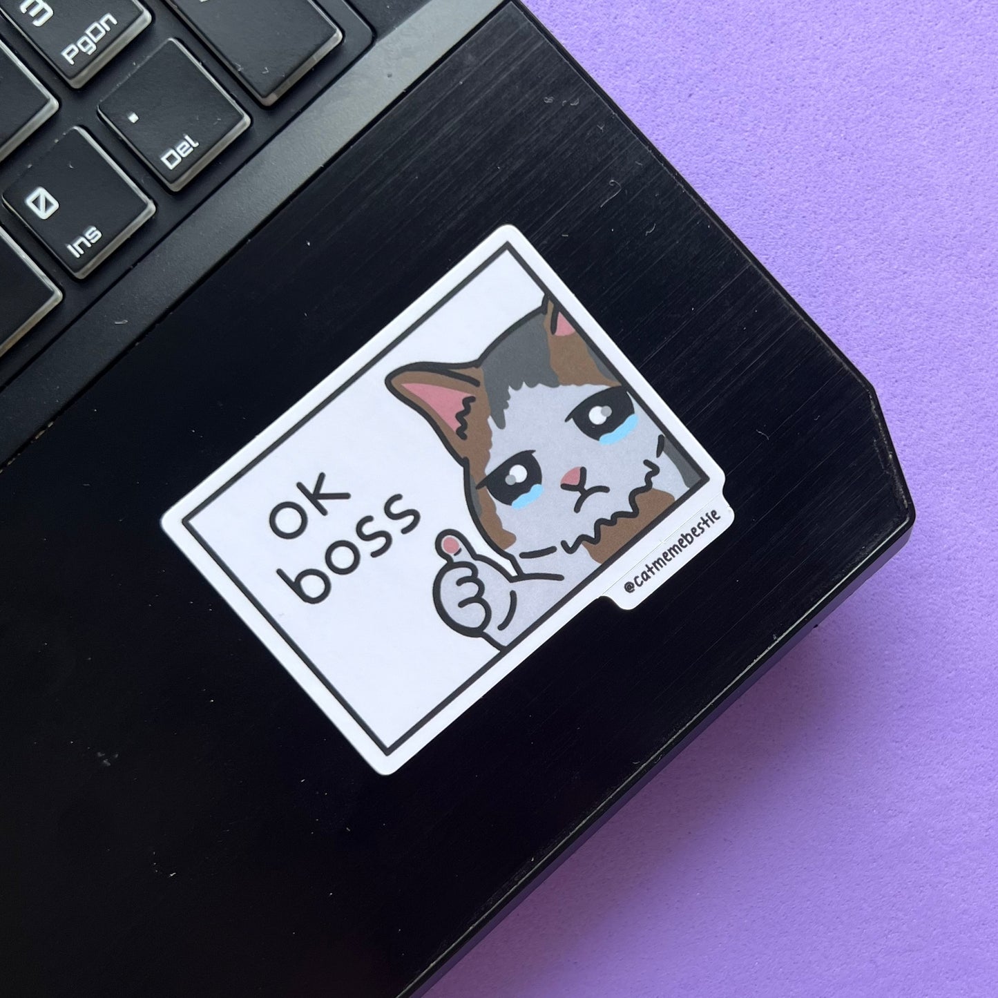 "best sellers" cat meme stickers