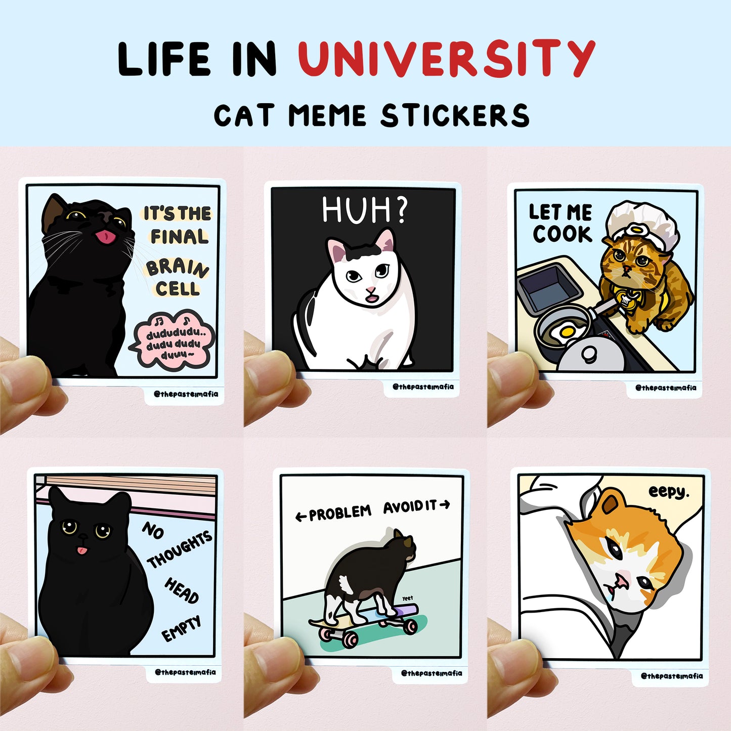 "still in university" cat meme stickers