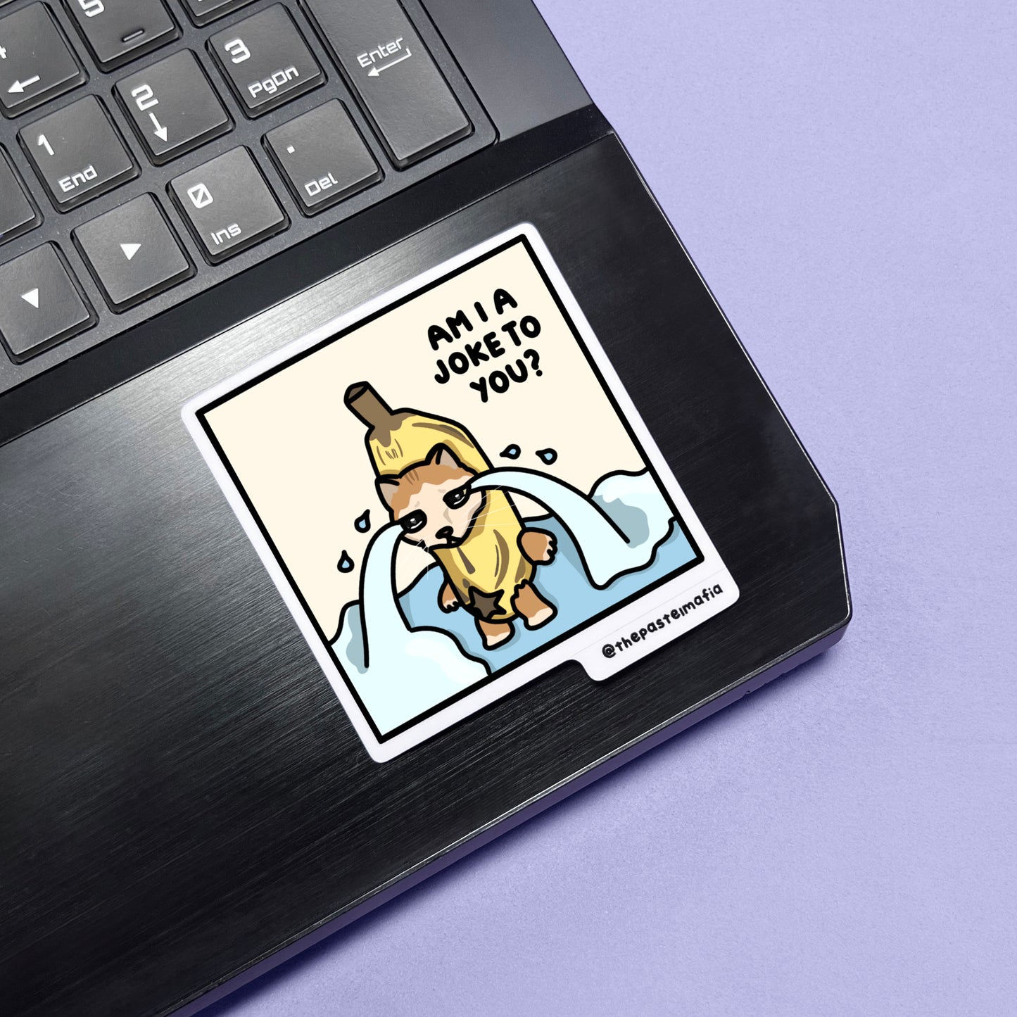 "still in university" cat meme stickers