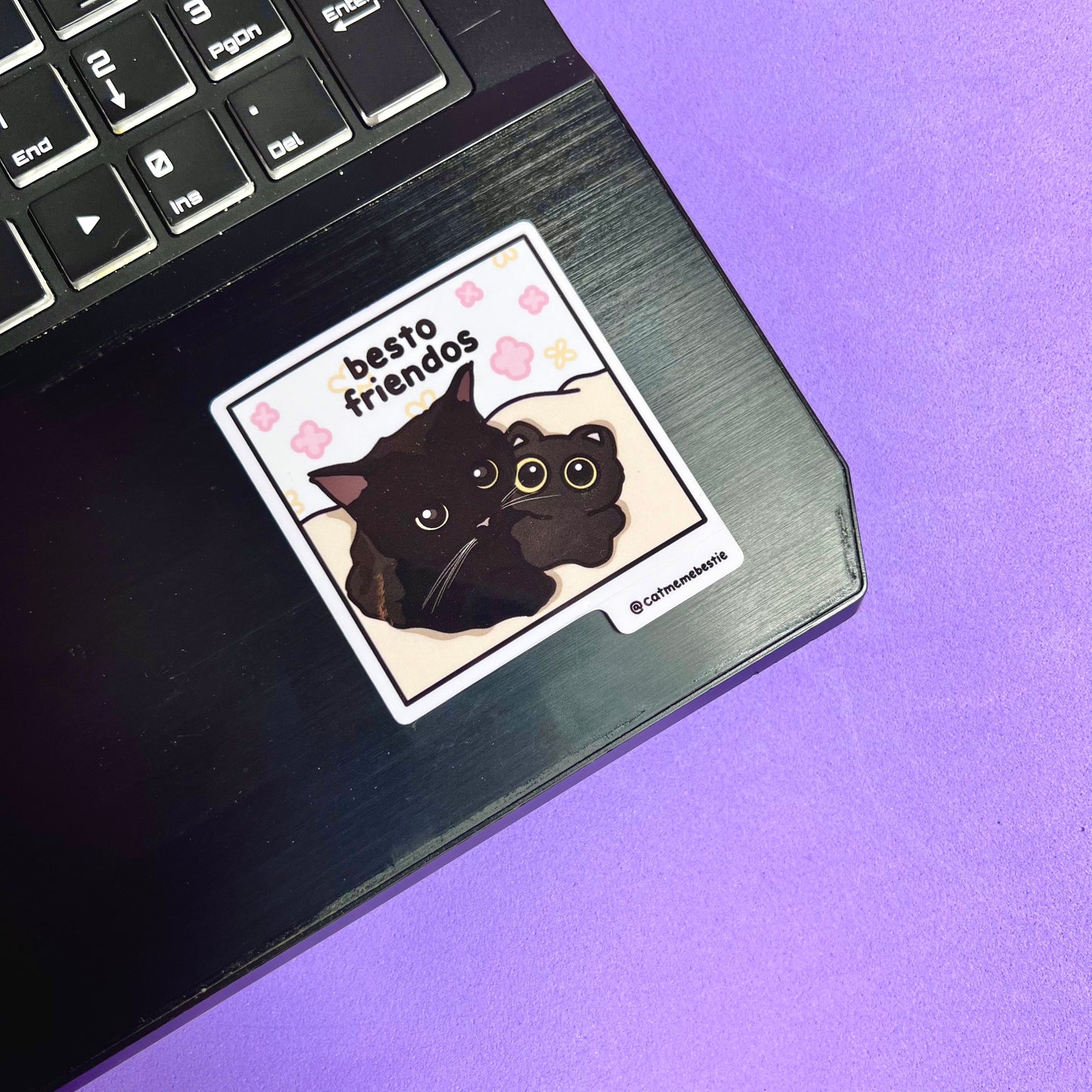 "still in university" cat meme stickers