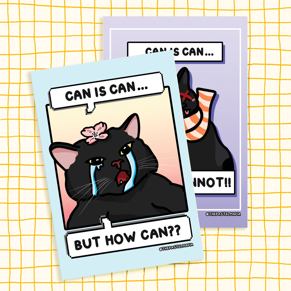 "can is can but how can?" A6 glossy greeting card