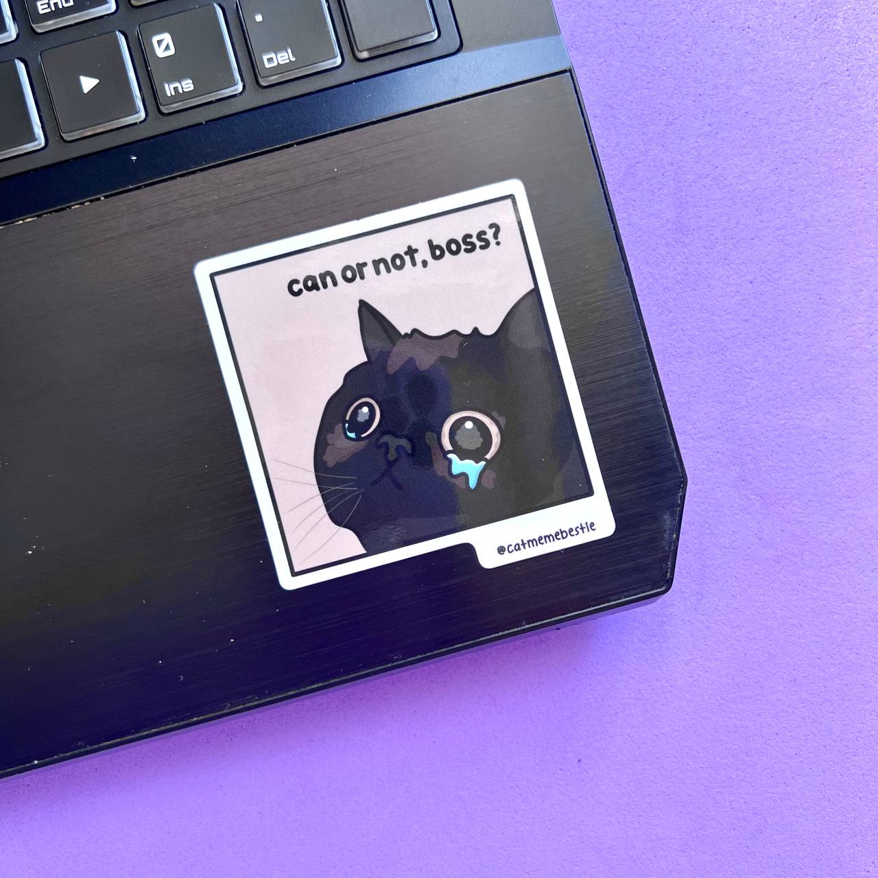 "best sellers" cat meme stickers