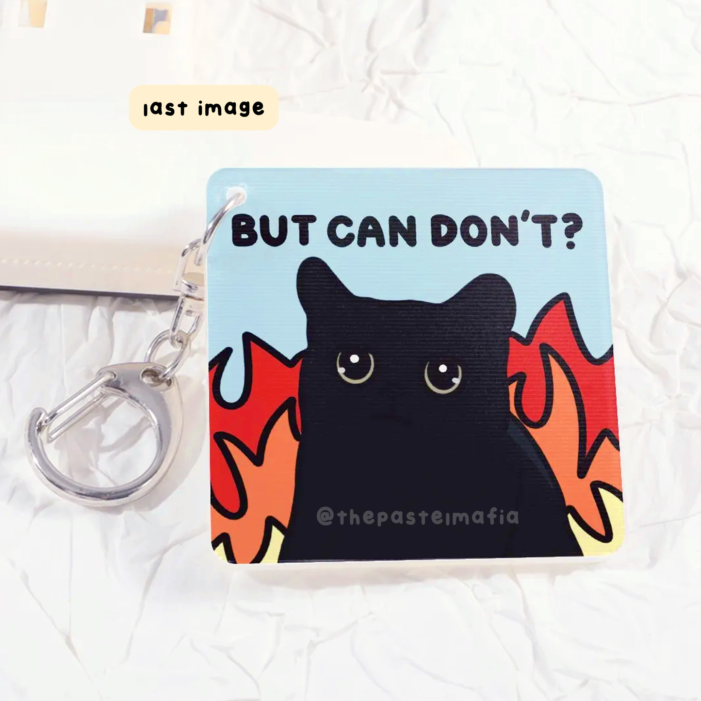 (limited) "can is can, but can don't?" lenticular keychain
