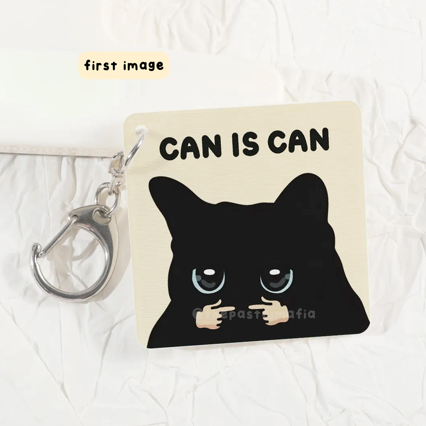 "can is can, cannot is cannot" lenticular keychain