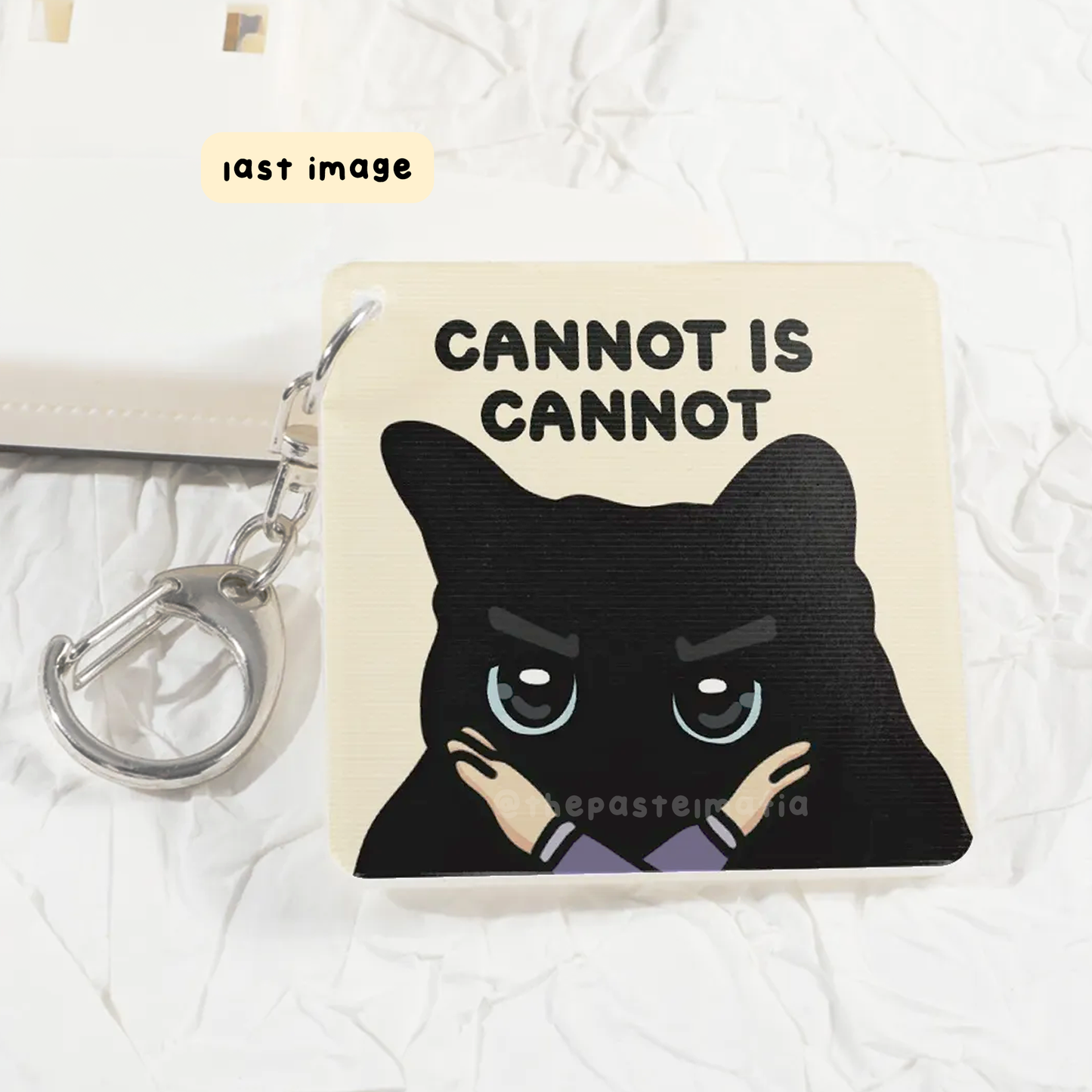 "can is can, cannot is cannot" lenticular keychain