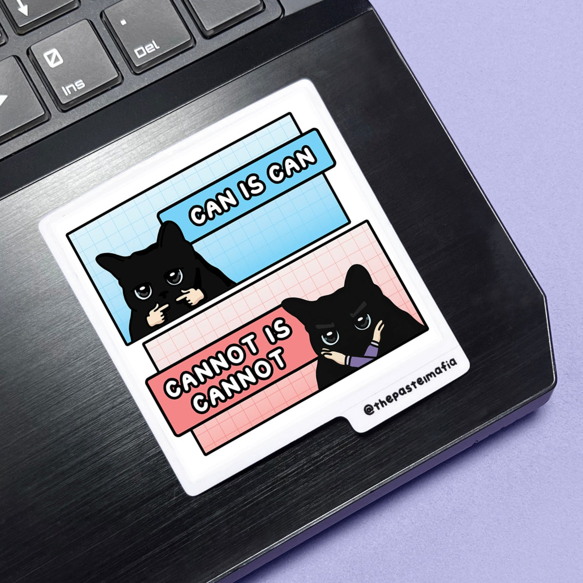 "can is can, cannot is cannot" sticker