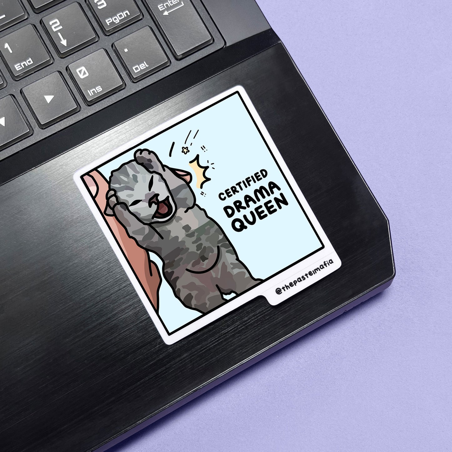 "certified" cat meme stickers