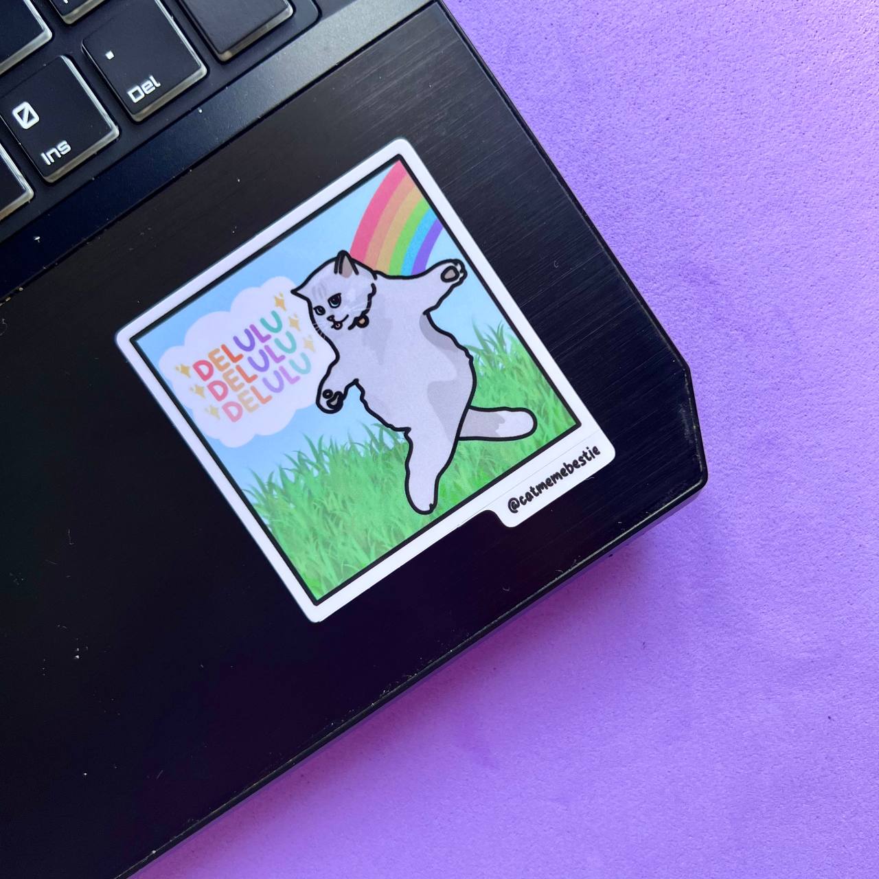 "still in university" cat meme stickers