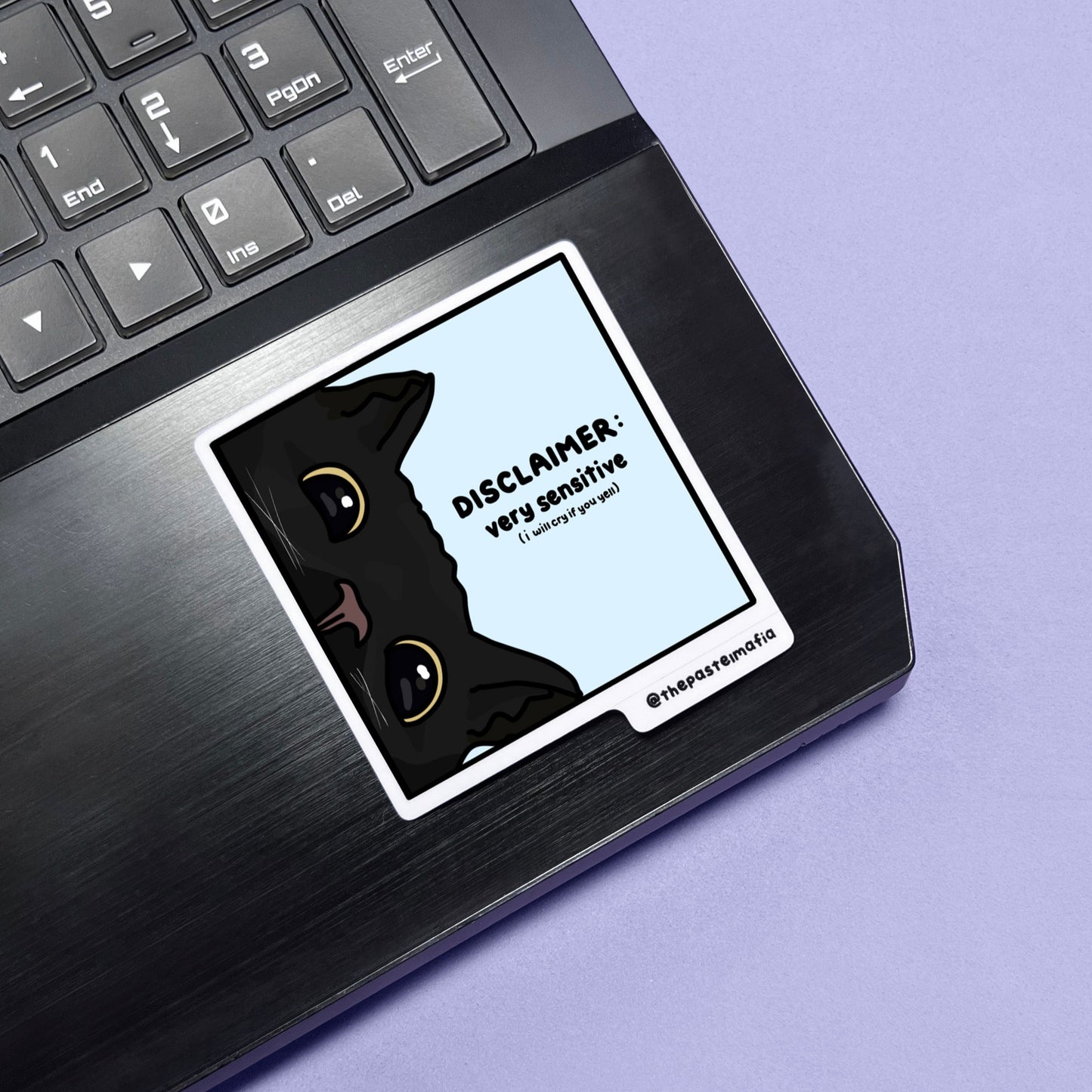 "disclaimer" sticker