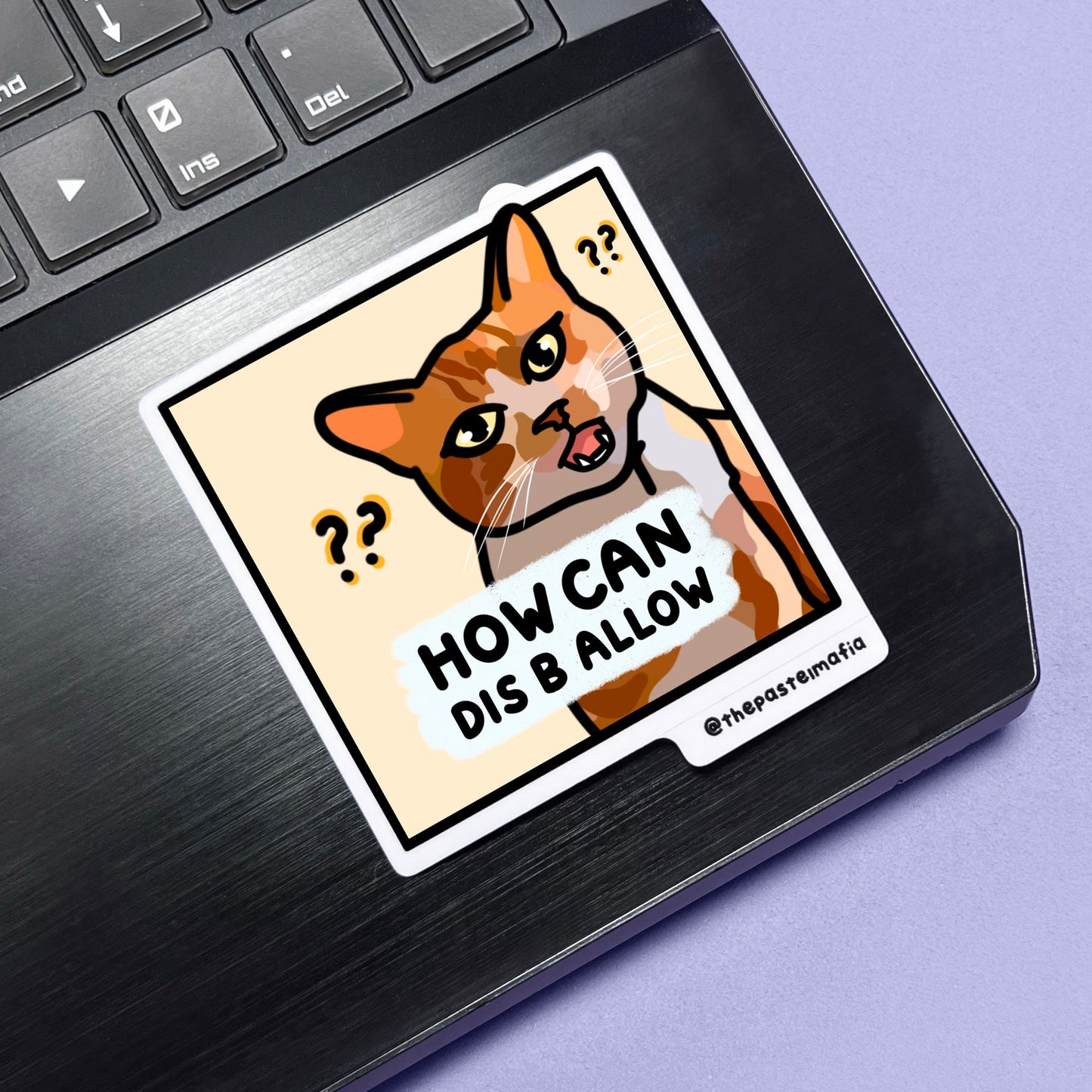 "still in university" cat meme stickers
