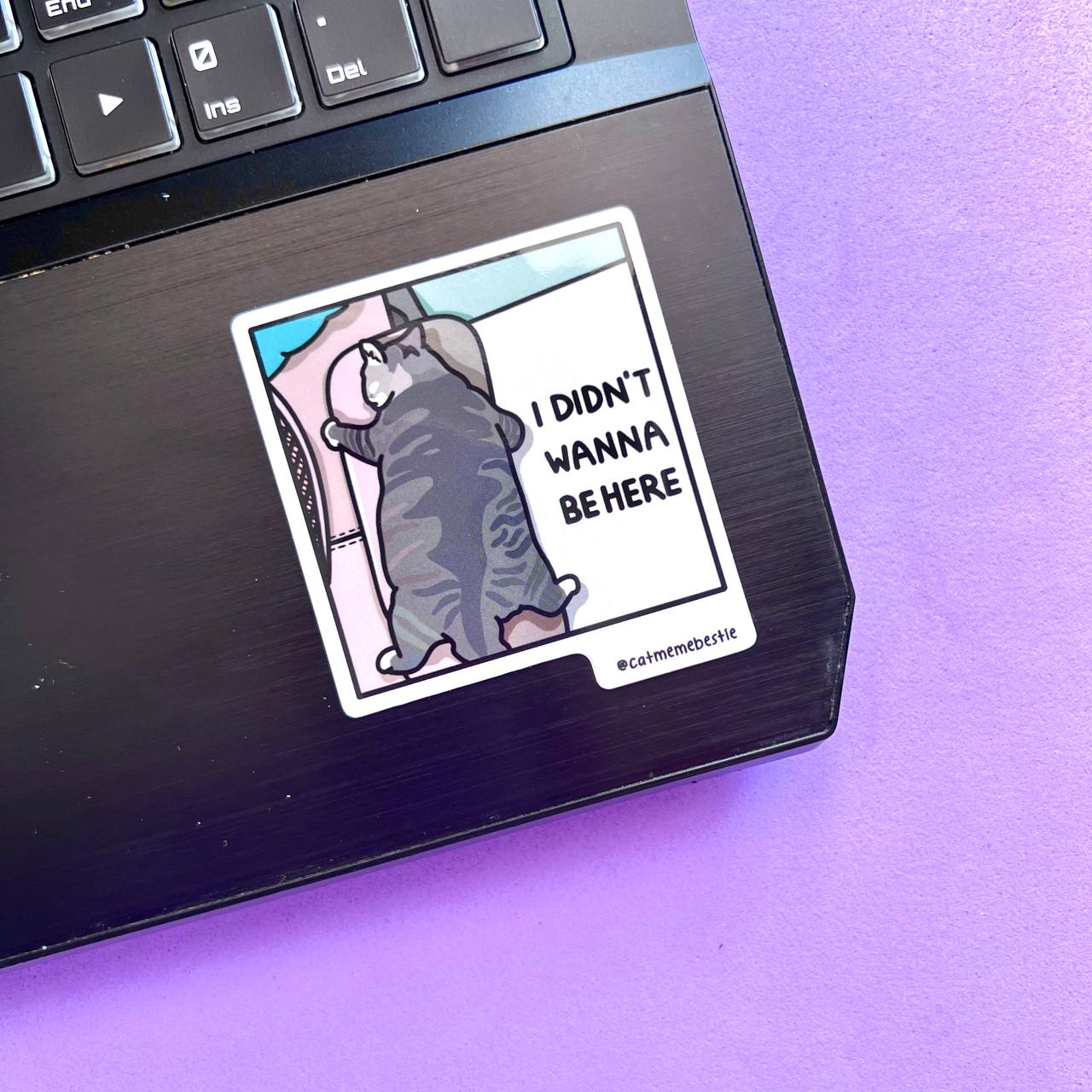 "discontinued" cat meme stickers