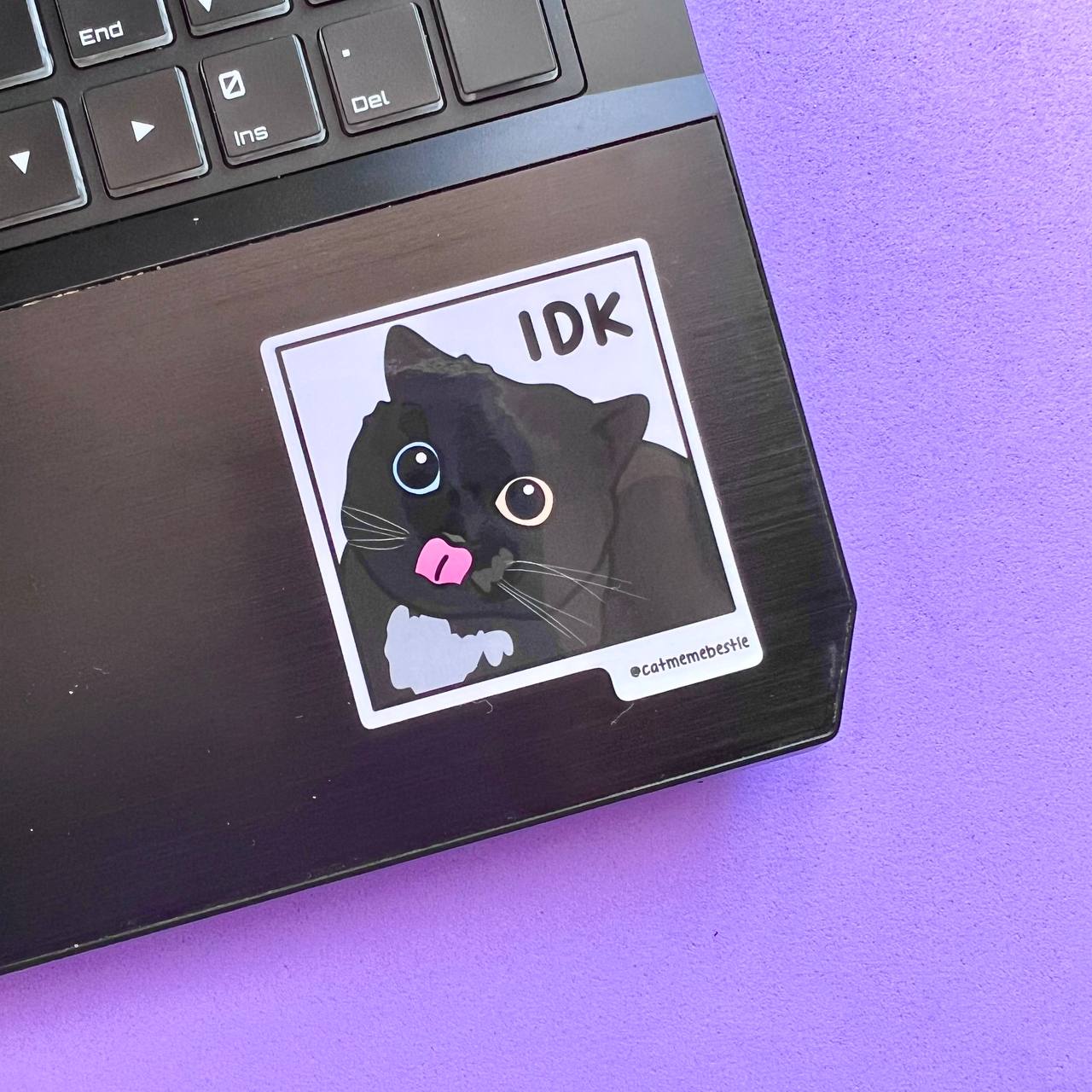 "still in university" cat meme stickers