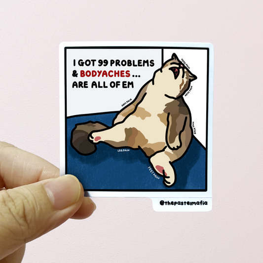 "i got 99 problems" sticker