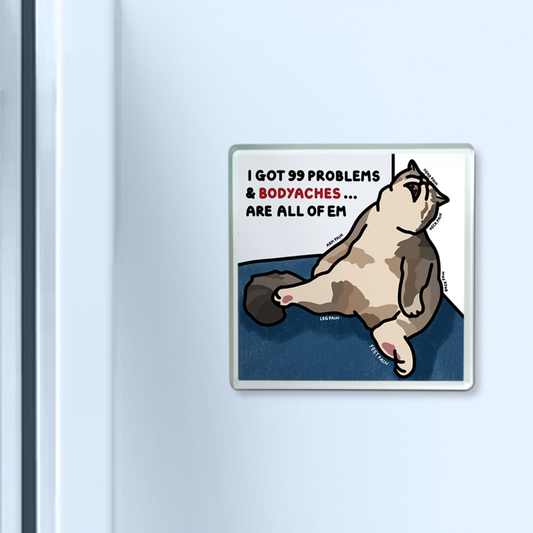 "i got 99 problems" acrylic magnet