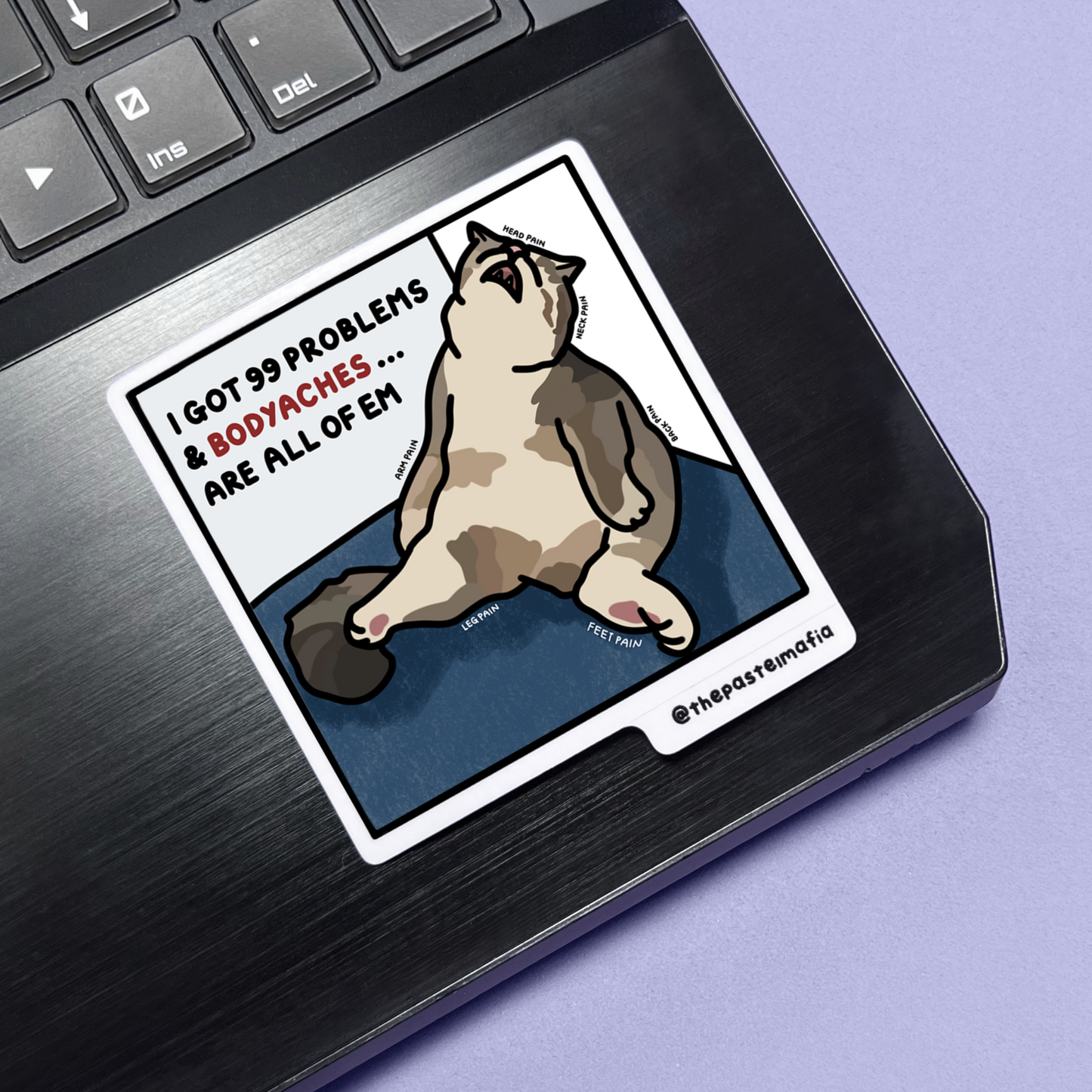 "i got 99 problems" sticker