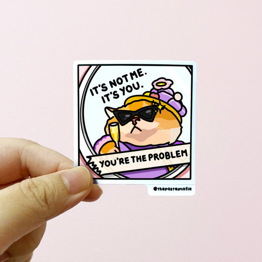 "it's not me it's you, you're the problem" sticker