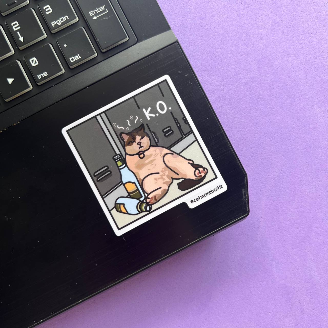 "discontinued" cat meme stickers