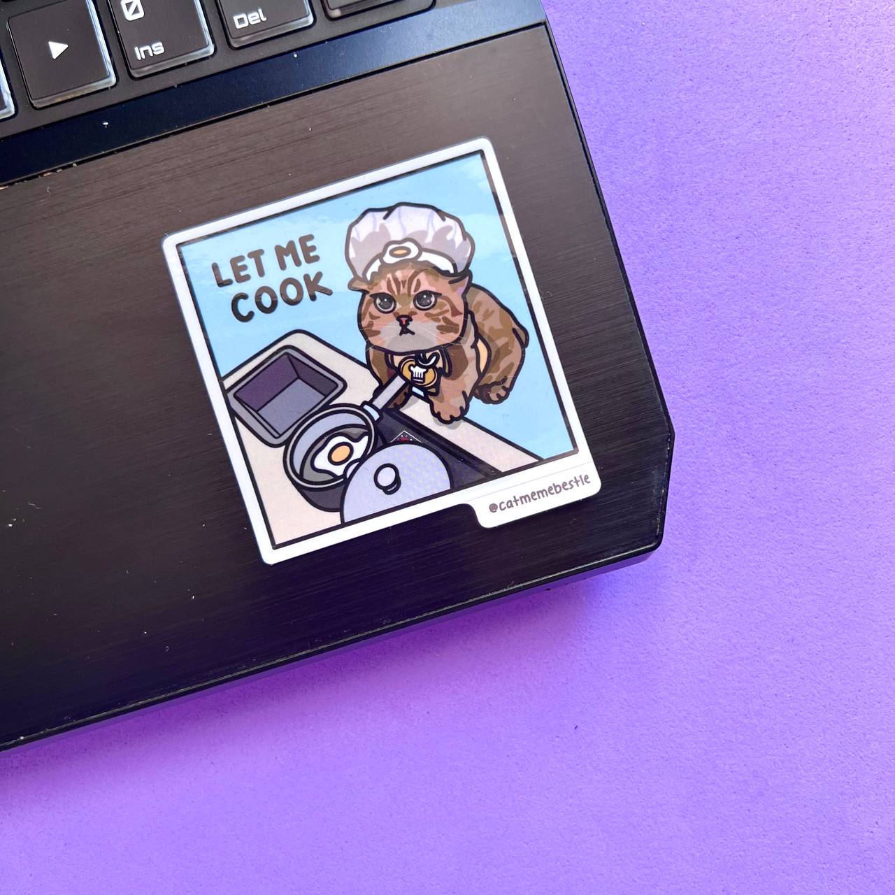 "still in university" cat meme stickers