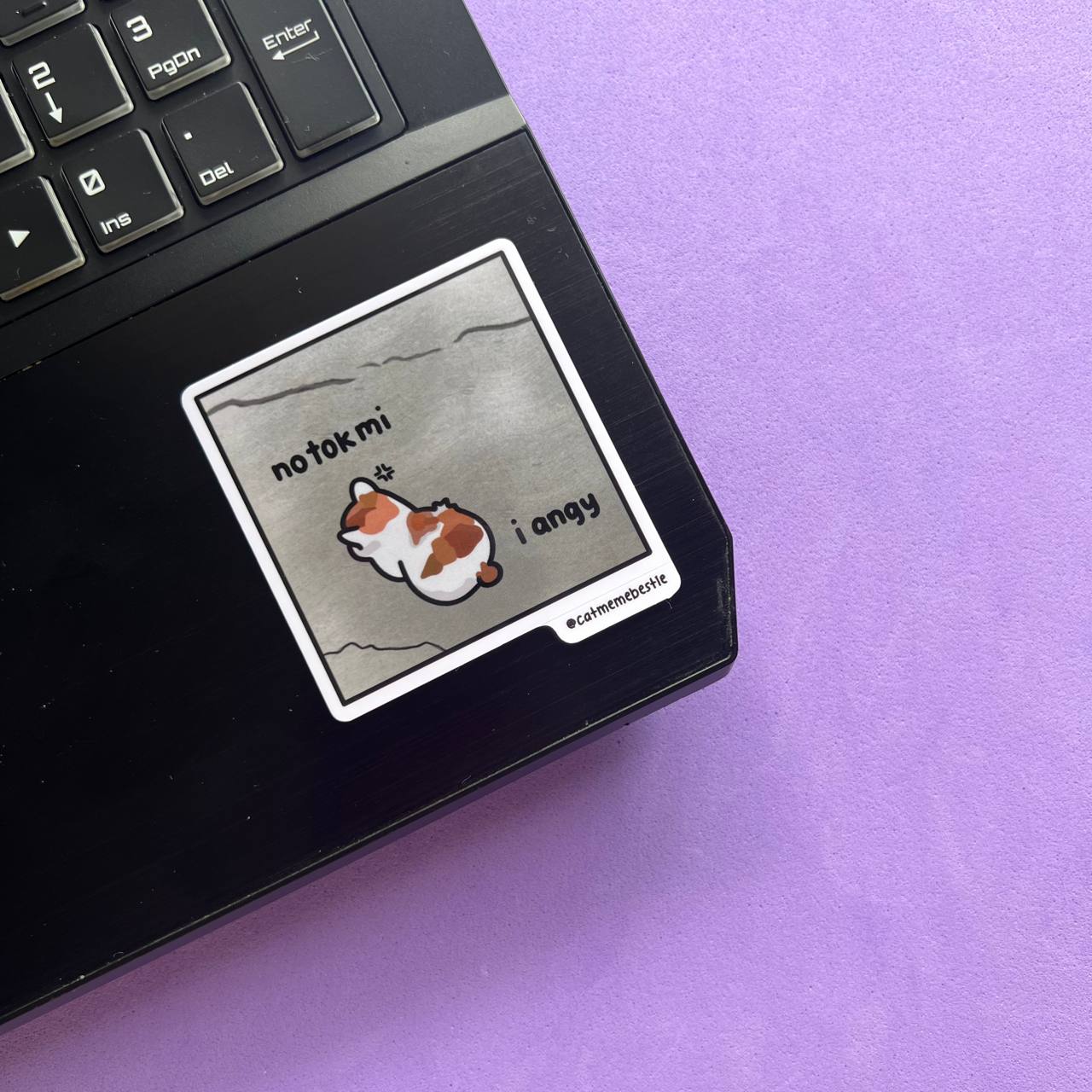 "still in university" cat meme stickers