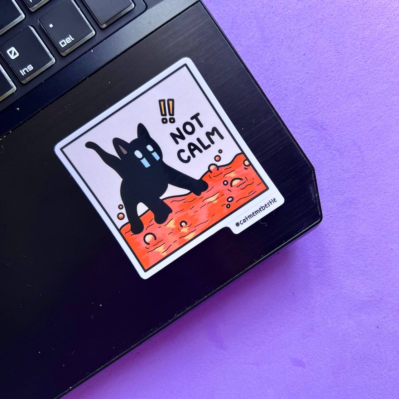 "discontinued" cat meme stickers