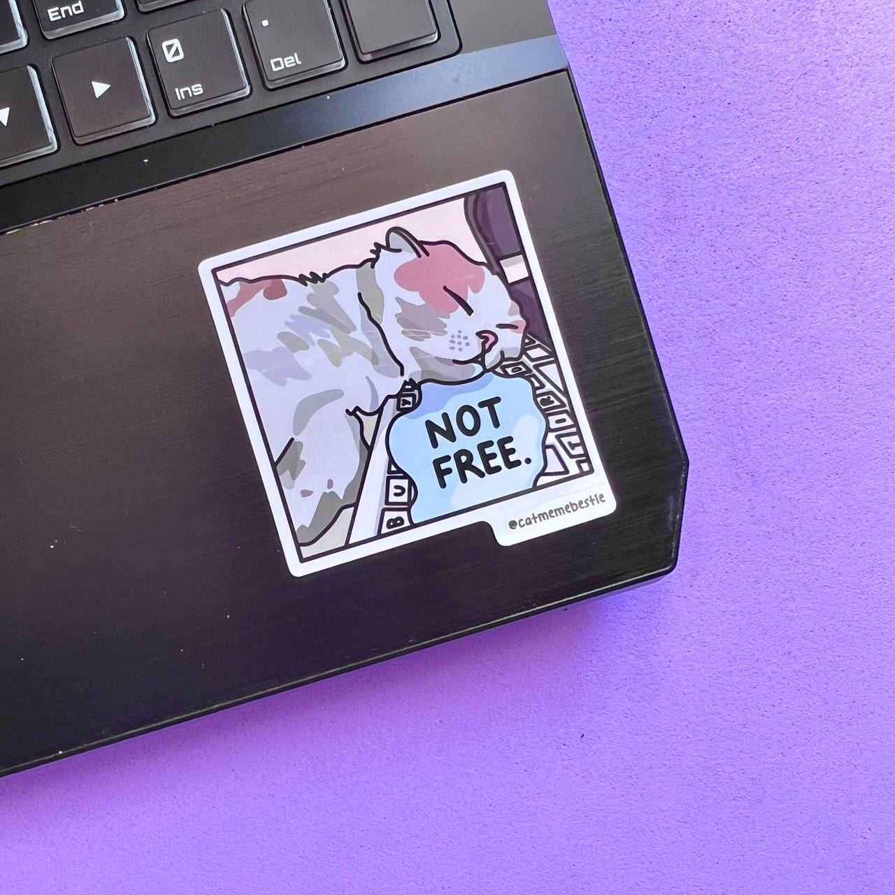 "discontinued" cat meme stickers