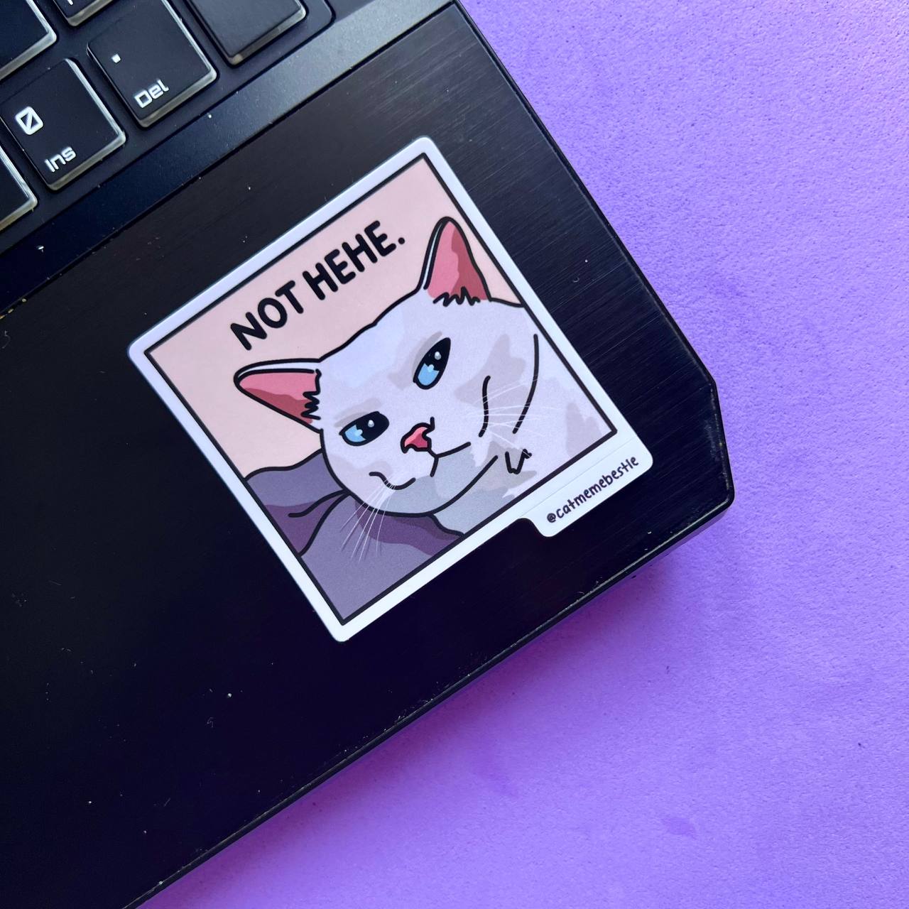 "discontinued" cat meme stickers