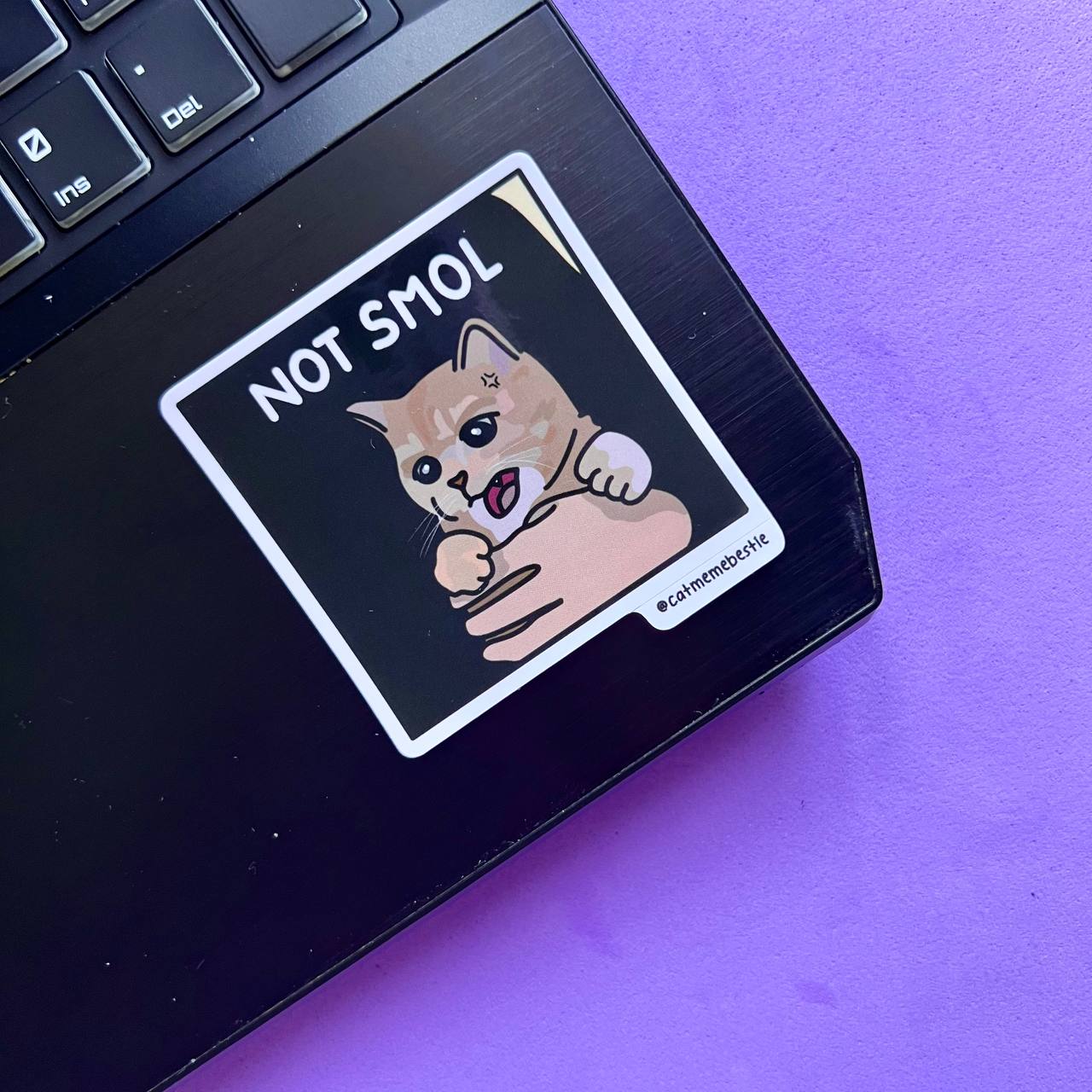 "discontinued" cat meme stickers