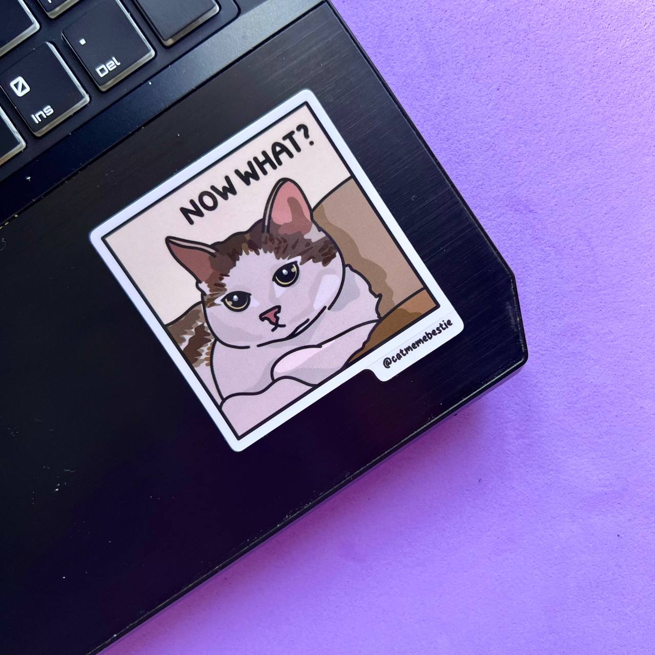 "discontinued" cat meme stickers