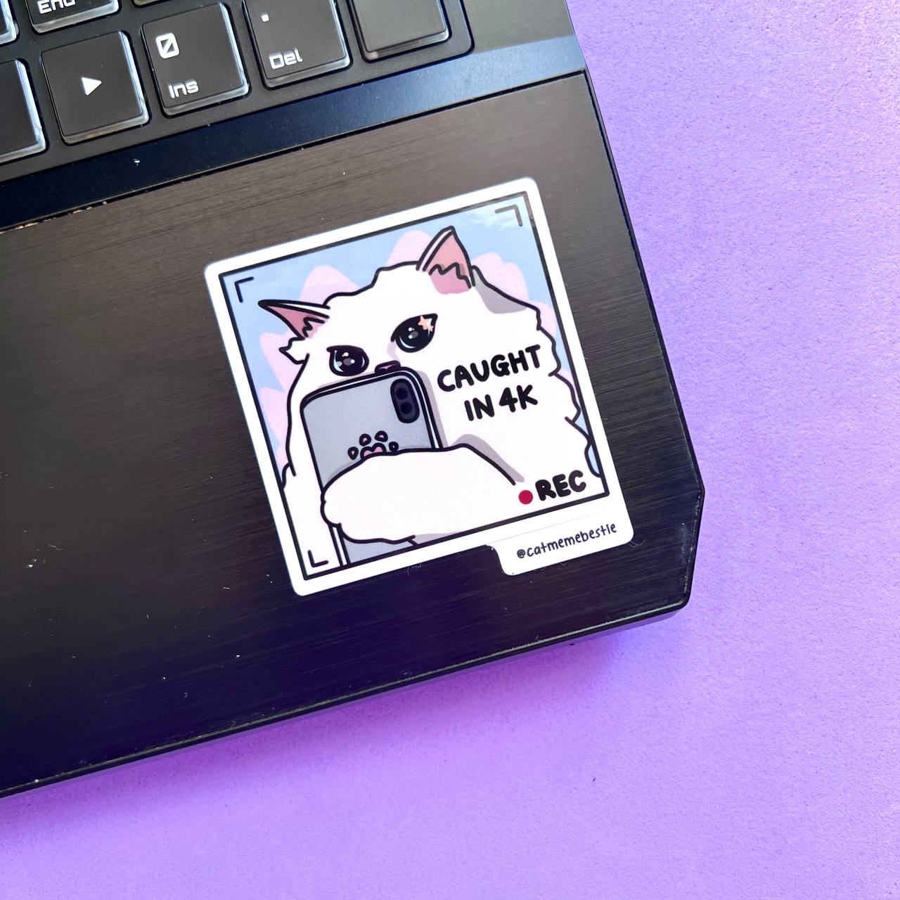 "caught in 4k" sticker