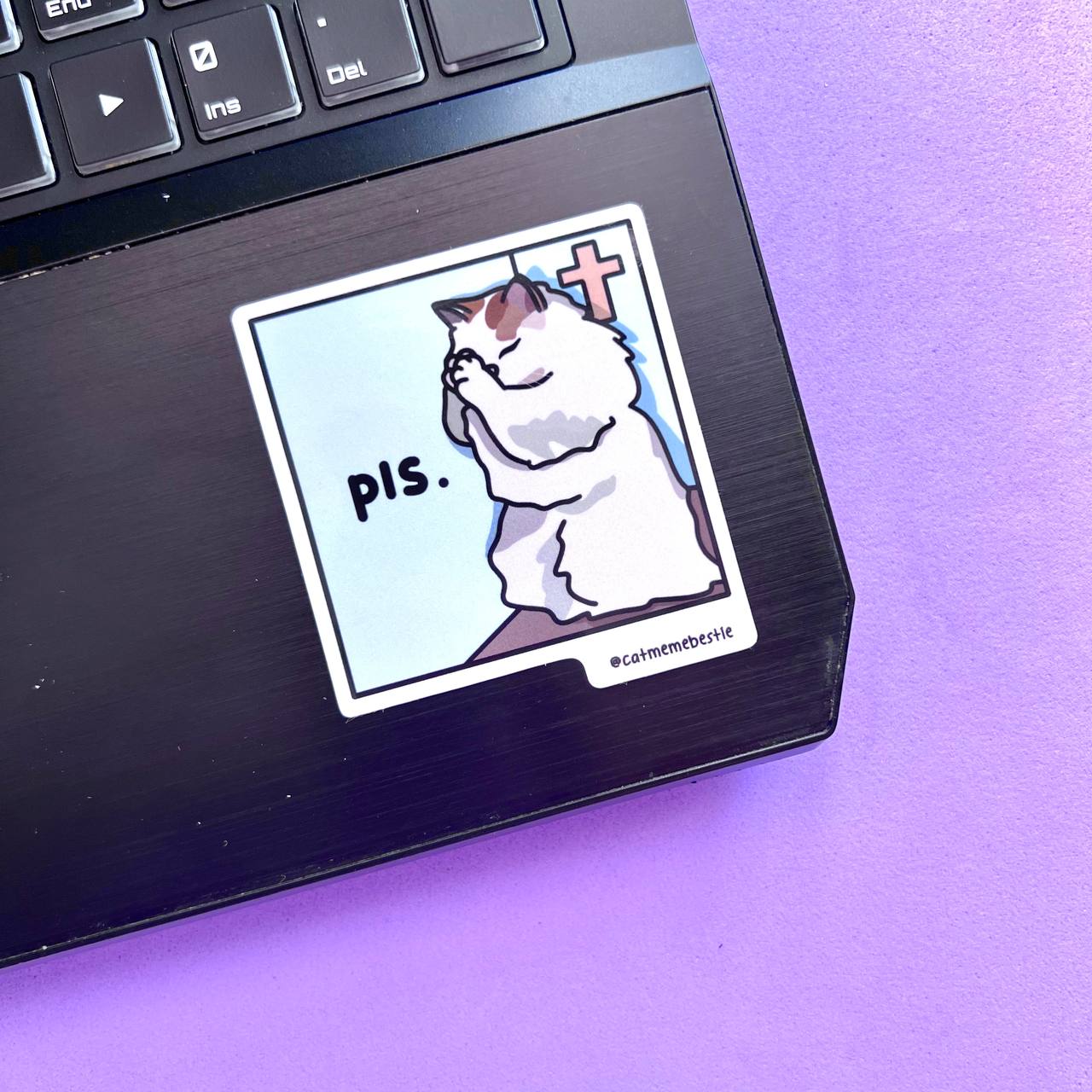 "pls" sticker