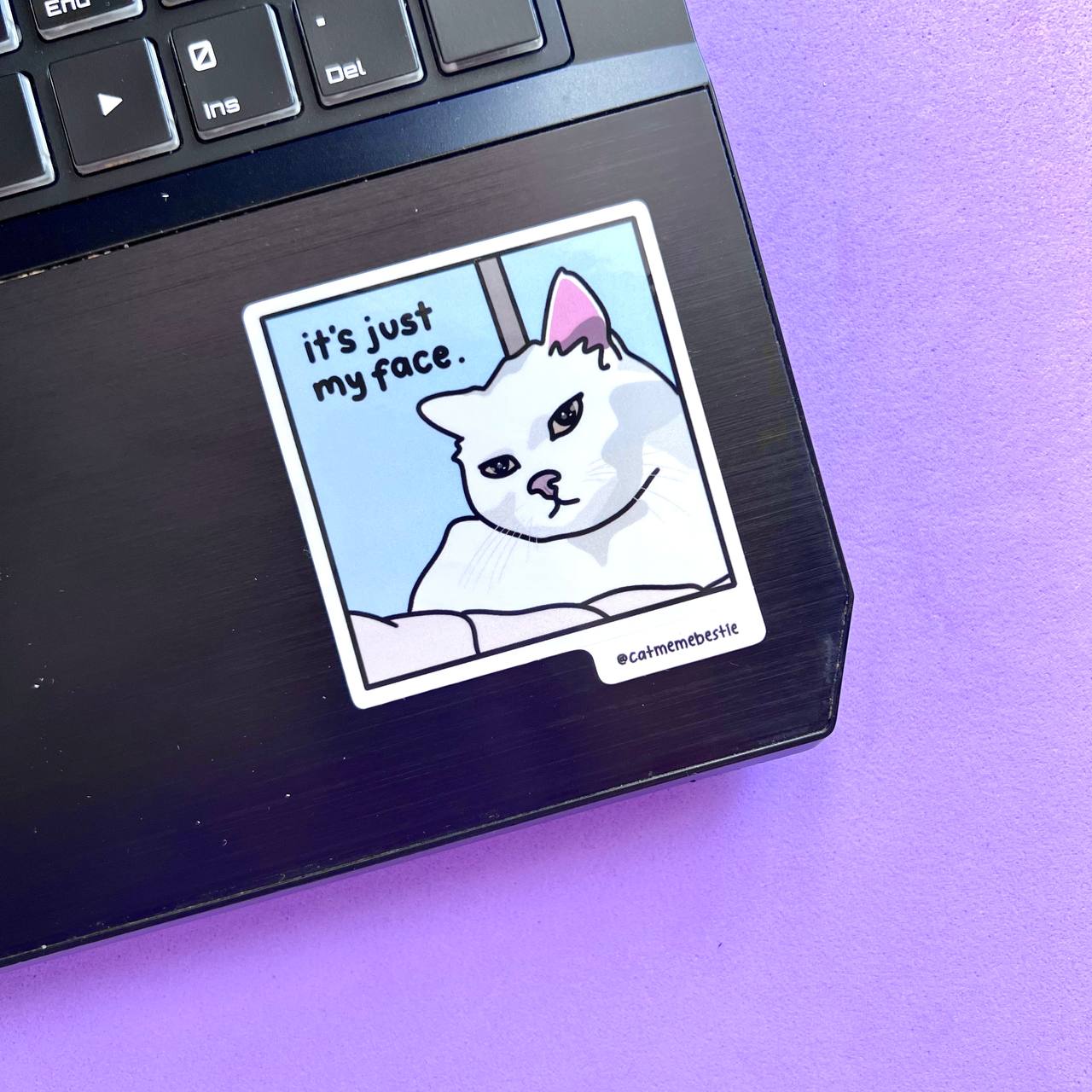 "it's just my face" sticker