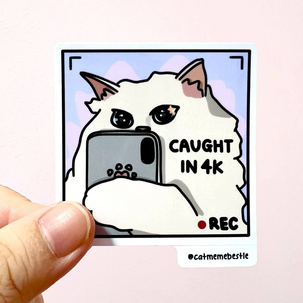 "caught in 4k" sticker