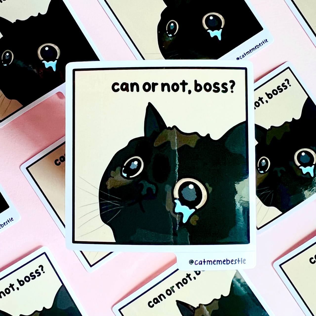 "can or not, boss?" sticker