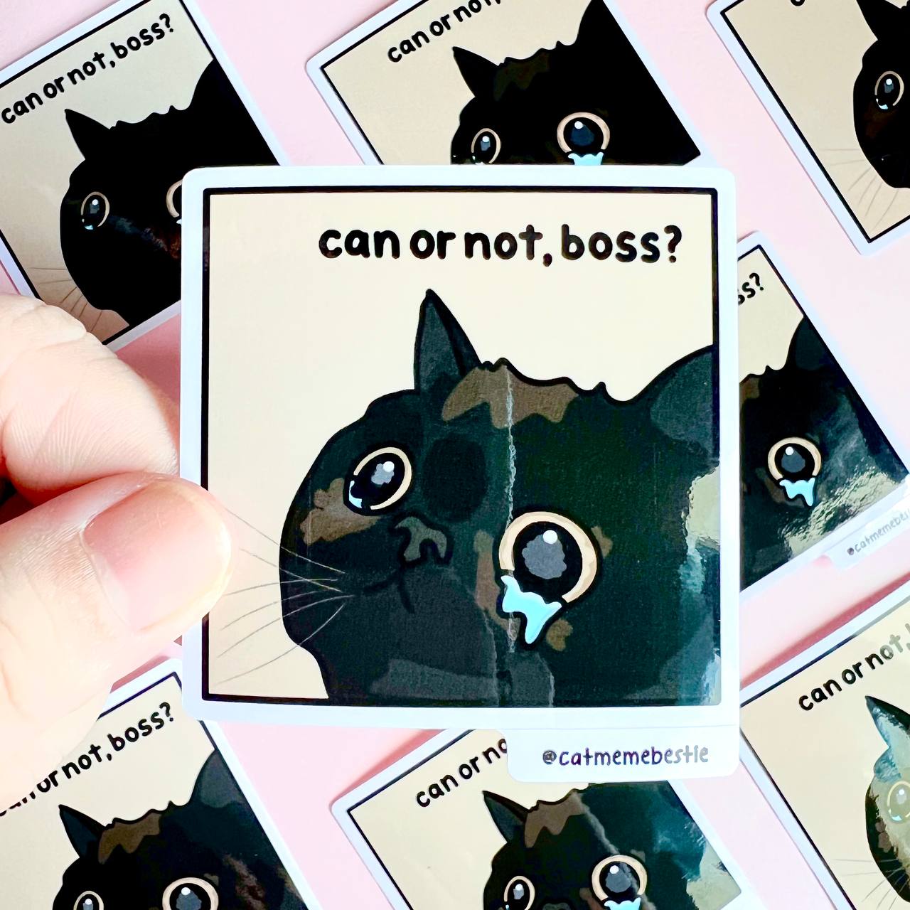 "can or not, boss?" sticker