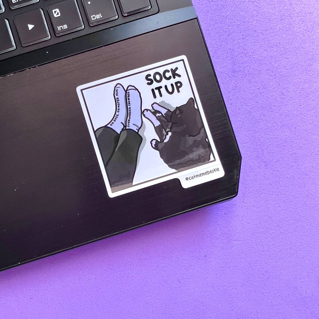 "discontinued" cat meme stickers