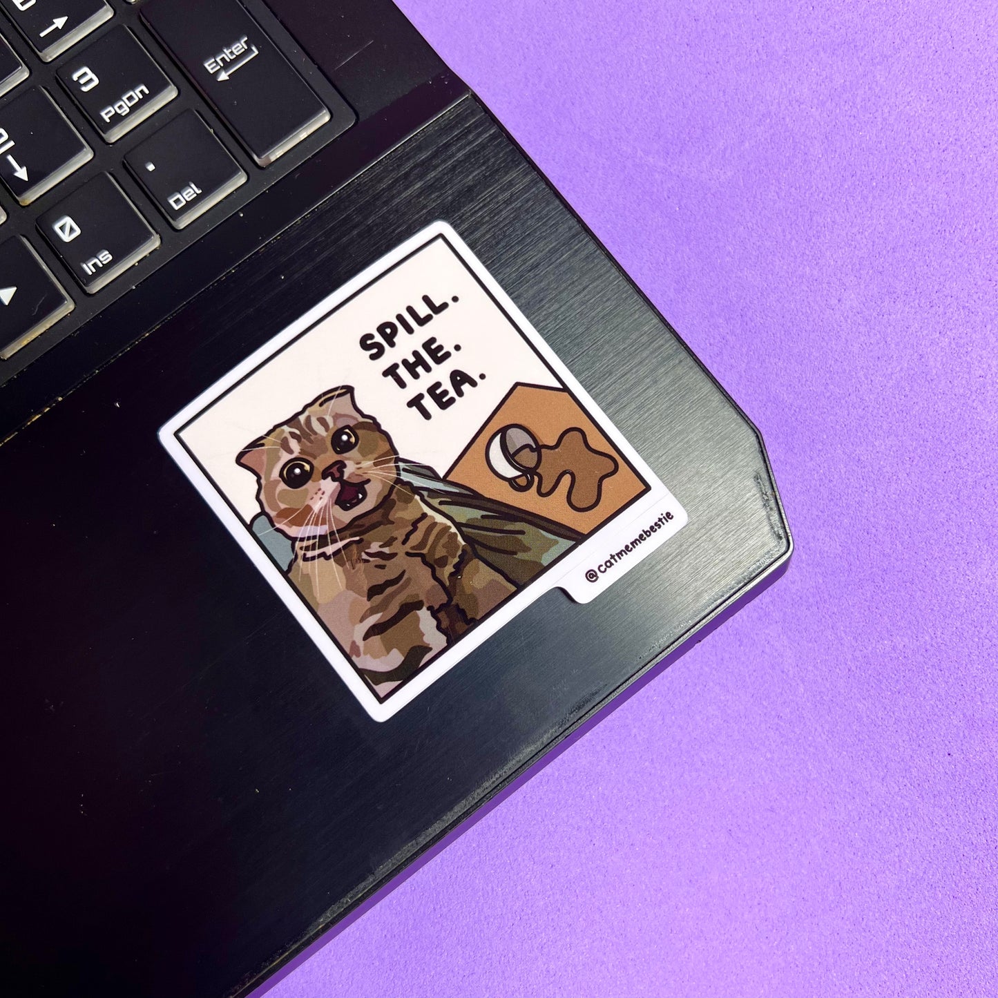 "still in university" cat meme stickers