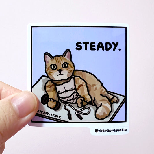 "steady" sticker