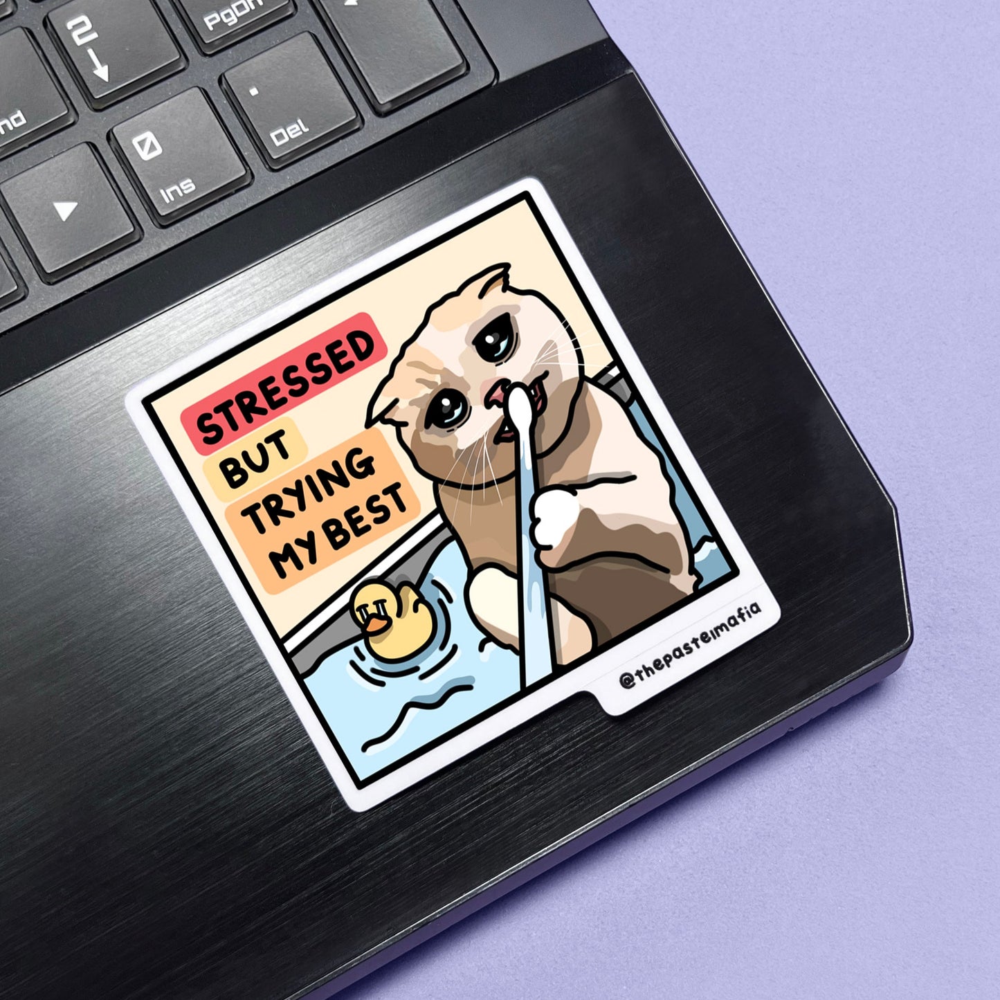 "still in university" cat meme stickers