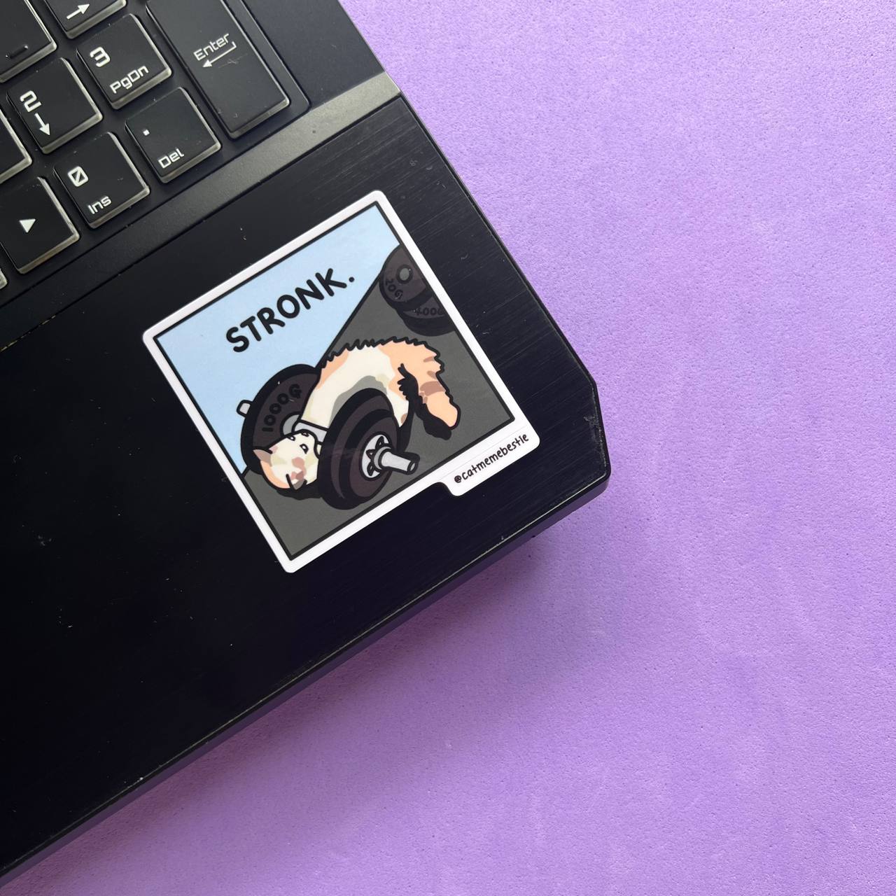 "best sellers" cat meme stickers