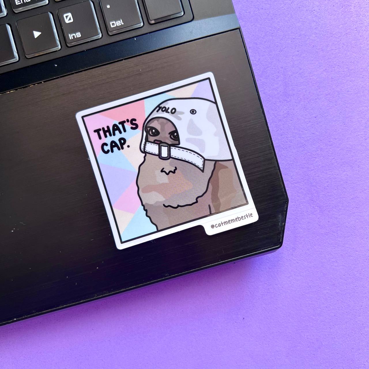 "discontinued" cat meme stickers