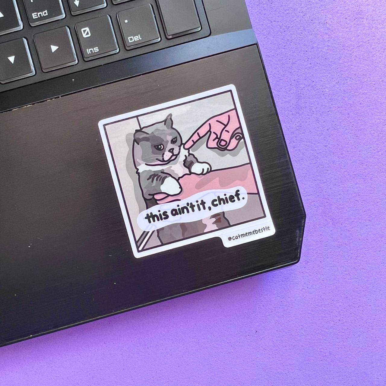 "discontinued" cat meme stickers